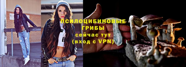 спиды Вязьма